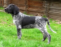 /album/fotogalerie-zora-od-nezdickeho-potoka/img-6124-jpg1/